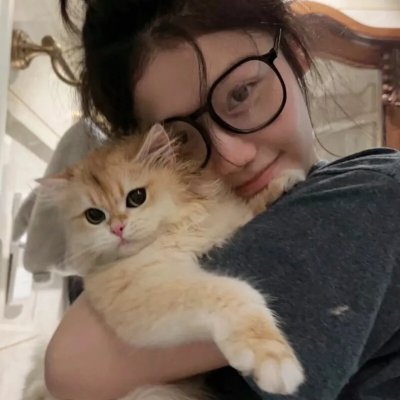 猫冬
